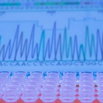 Gene Synthesis