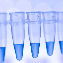 Site-directed Mutagenesis