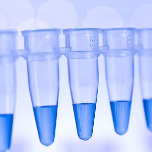 Site-directed Mutagenesis
